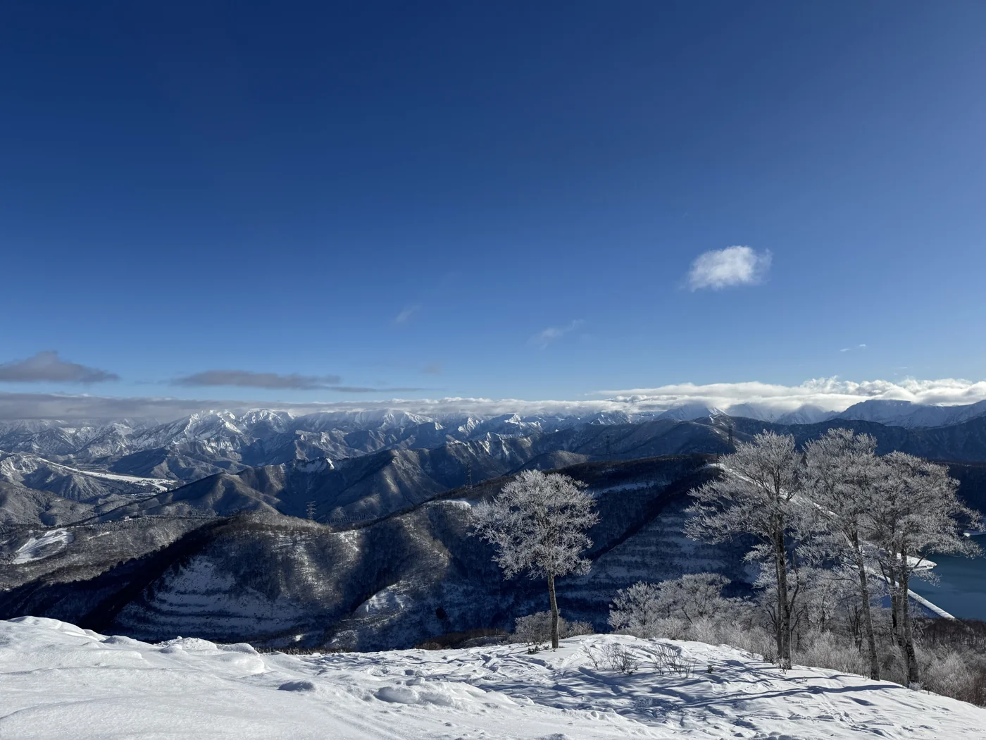神樂雪場的雪坡與樹木，遠方是晴空下連綿的山峰